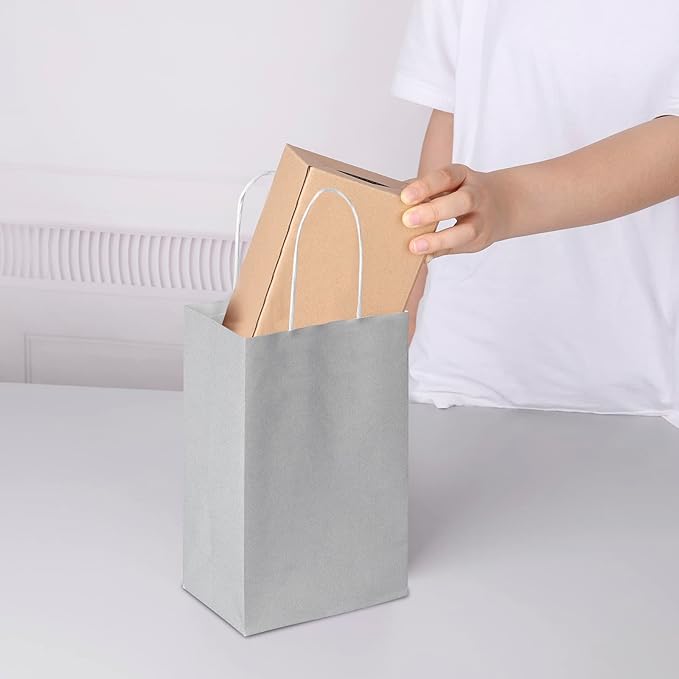 Oikss 50 Pack 5.25x3.25x8.25 Inch Small Gray Kraft Paper Bags with Handles Bulk for Birthday Wedding Party Favors Grocery Retail Shopping Business Goody Craft Gift Bags Sacks (Silver Grey 50 Count)