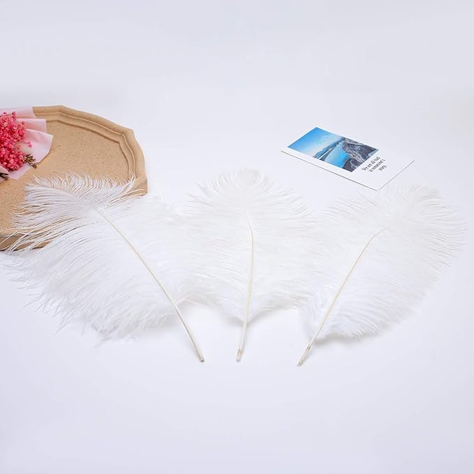 Ballinger Large White Ostrich Feathers - 24Pcs 8-10inch Feathers for Crafts,Party Centerpieces,Wedding and Home Decor