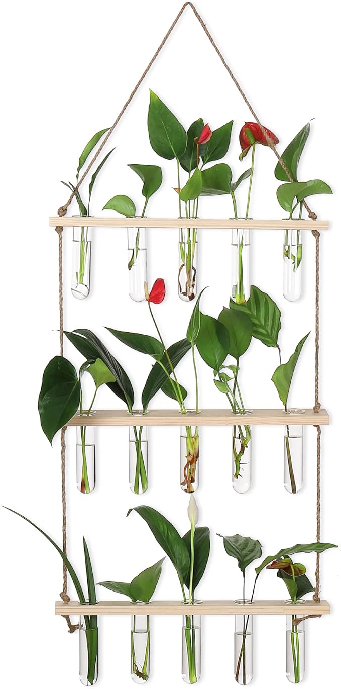 YIBOT Propagation Stations,3 Tiered of Propagation Tubes with Wooden Stand,Mini Glass Test Tubes Vase,Plant Terrarium for Hydroponic Home Garden Office Decor, Gardening Gift for Women Plant Lover