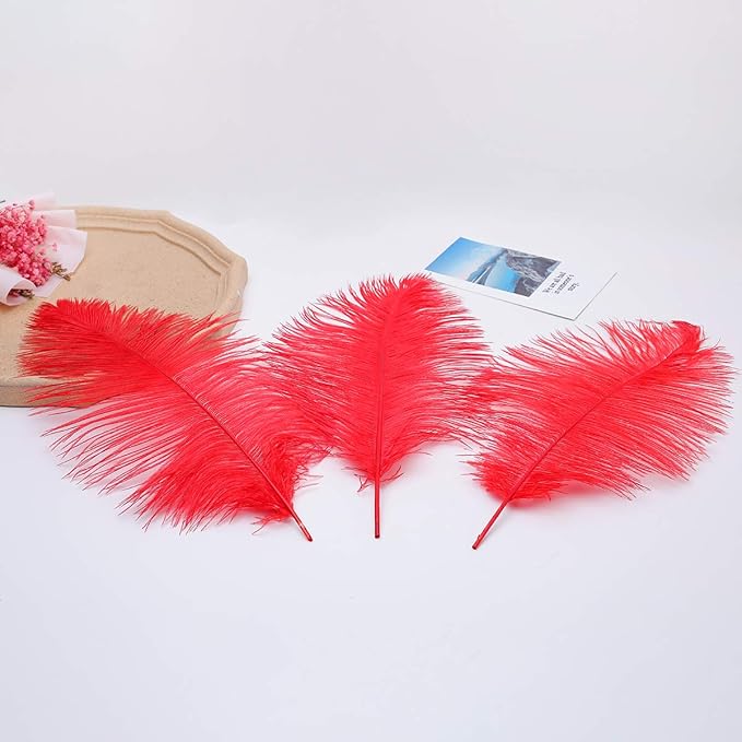 24pcs Natural Bright Red Ostrich Feathers 10-12inch (25-30cm) for Wedding Party Centerpieces,Flower Arrangement and Home Decoration.