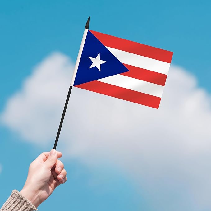12 Pack Puerto Rico Desk Flags, Puerto Rican Desktop Flag, Small Miniature Office Flags with 12" Black Pole and Black Base, Offices, Classroom, Home, Festival Decoration (Puerto Rico)