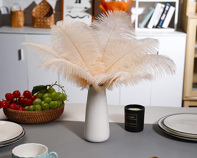 Ballinger Light Salmon Ostrich Feathers - 24pcs 10-12inch Feathers for vase,Wedding Party Centerpieces and Home Decor