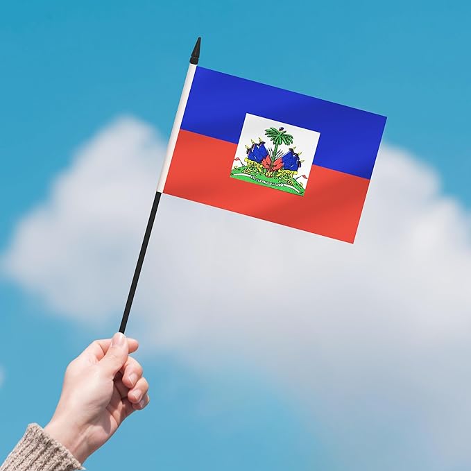 2 Pack Haiti Desk Flag Set, Haitian Desktop Small Miniature Table Office Flag with 12" Black Pole and Black Base, Offices, Classroom, Home, Festival Decoration (Haiti)
