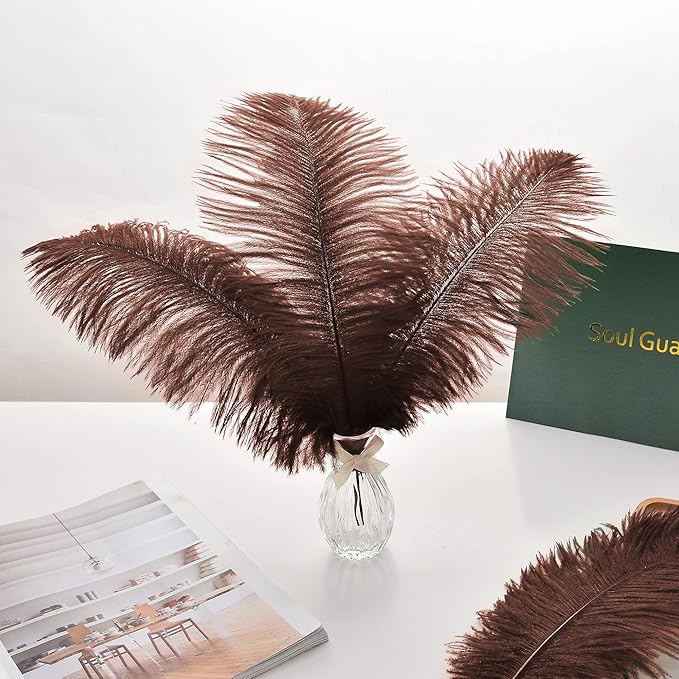 Ballinger Brown Ostrich Feathers Bulk - 24pcs 10-12inch Boho Feathers for vase,Wedding Party Centerpieces and Home Decor