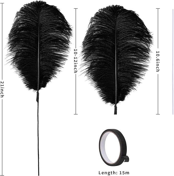 Holmgren Black Ostrich Feathers Bulk - 20pcs Making Kit 22 Inch Natural Ostrich Feathers for Vase, Floral Arrangement, Wedding Party Centerpieces and Halloween Home Decor (Black)