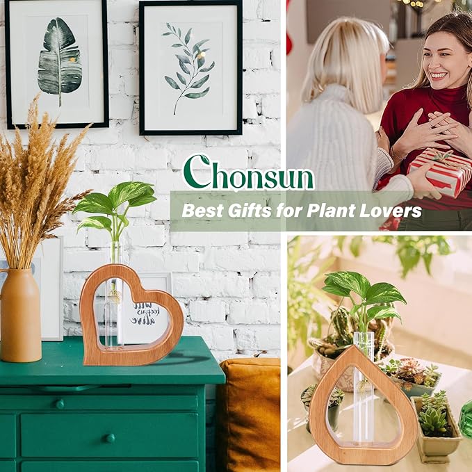 Plant Propagation Stations 2 PCS Wall Hanging Planters for Indoor Plants Glass Tubes Home Decorations Gifts Terrarium Plants Live