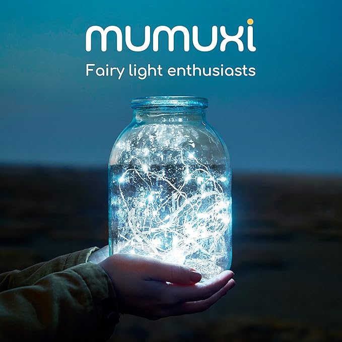 MUMUXI 20 Pack 3.3ft Fairy Lights Battery Operated String Lights, Mini White LED Powered, Waterproof, Silver Wire Firefly Mason Jar for Home, Party, Wedding Decorations, Cool White