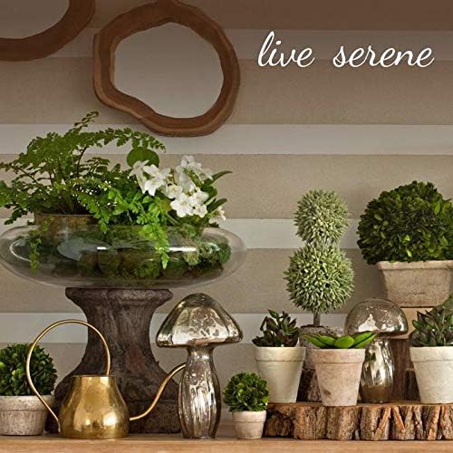 Serene Spaces Living Green Optical Glass Votive Holder, Perfect for Weddings and Home Décor, Measures 5" Tall and 3.5" Diameter, Set of 12