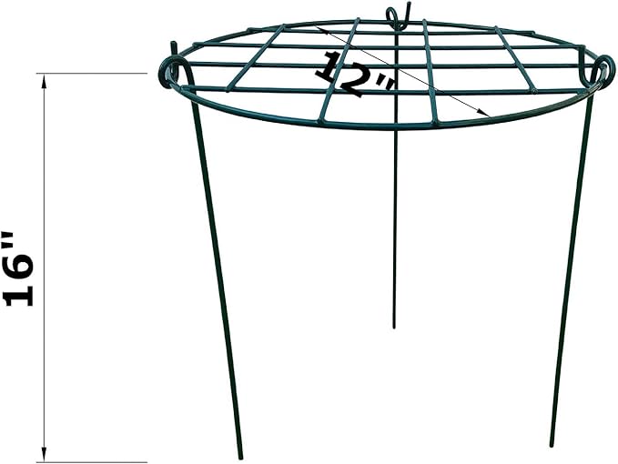 12 x 16 inch Poeny Cage Grow Through Grid Plant Brace Flower Support Rings, Pack of 5 Round Metal Plant Stakes Rings, Strong Large Garden Supports for Flowers, Peonies, Rose, Lily