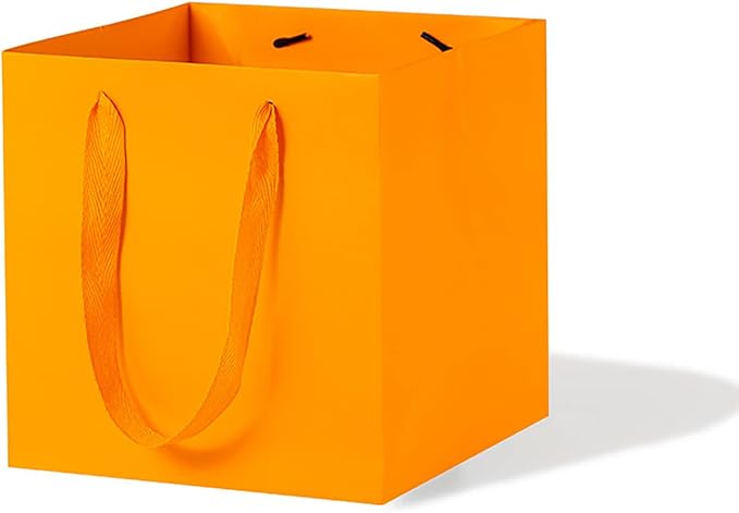 Orange Paper Gift Bag Small Square Bottom Kraft Paper Bags with Handles for Halloweens Wedding Baby Shower Birtyday Party (Orange, 6 x 6 x 6 in, 10 CT)