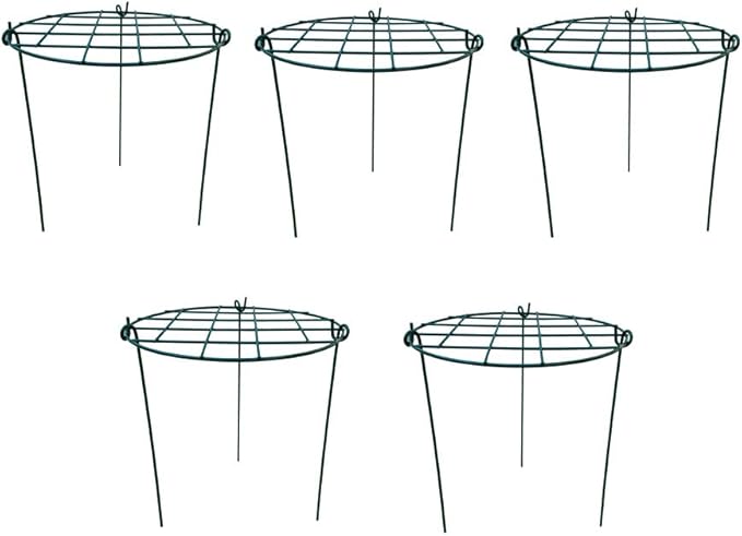 12 x 16 inch Poeny Cage Grow Through Grid Plant Brace Flower Support Rings, Pack of 5 Round Metal Plant Stakes Rings, Strong Large Garden Supports for Flowers, Peonies, Rose, Lily