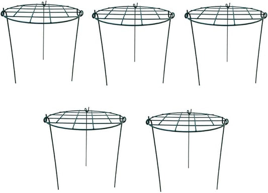 12 x 16 inch Poeny Cage Grow Through Grid Plant Brace Flower Support Rings, Pack of 5 Round Metal Plant Stakes Rings, Strong Large Garden Supports for Flowers, Peonies, Rose, Lily