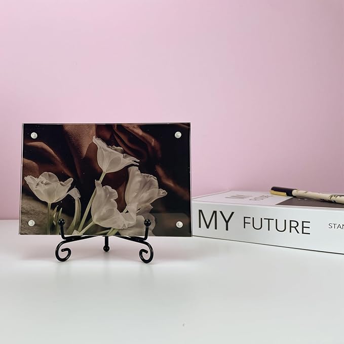 4PCS Premium Black Iron Plate Stands for Display 4 Inch, Decorative Solid Metal Plate Holders for Displaying, Mini Easel, Frame, Book, Card, Plaque, Bowl, Picture Stands for Display