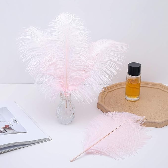 Ballinger Light Pink Ostrich Feathers - 24Pcs 12-14inch Large Feathers for Crafts,Party Centerpieces,Wedding and Home Decor