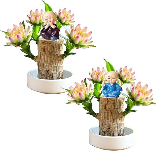 Brazilian Lucky Wood Plant Kit, Lucky Wood Doesn't Need to Wait to Sprout, Suitable for Home Office Desk Decor, Natural Air Cleaner (2F)