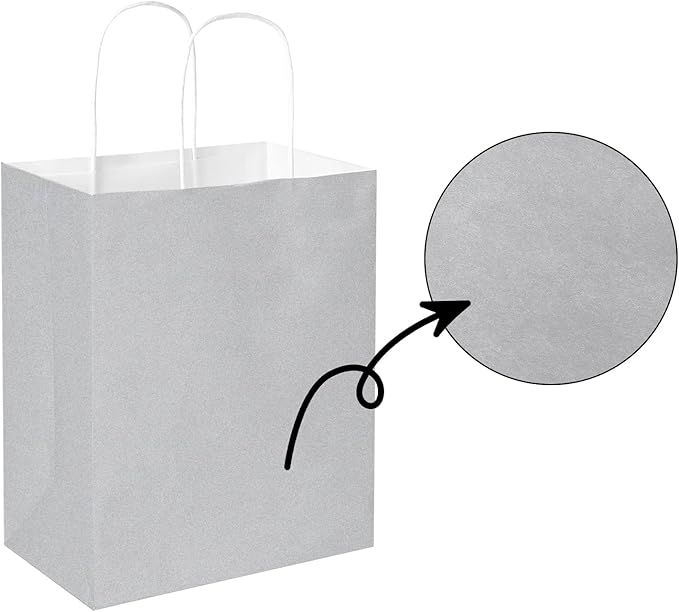Oikss 50 Pack 8x4.75x10 Inch Medium Gray Kraft Paper Bags with Handles Bulk for Birthday Wedding Party Favors Grocery Retail Shopping Business Goody Craft Gift Bags Sacks, (Silver Grey 50pcs Count)