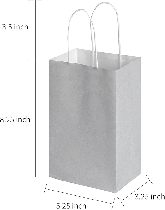 Oikss 50 Pack 5.25x3.25x8.25 Inch Small Gray Kraft Paper Bags with Handles Bulk for Birthday Wedding Party Favors Grocery Retail Shopping Business Goody Craft Gift Bags Sacks (Silver Grey 50 Count)