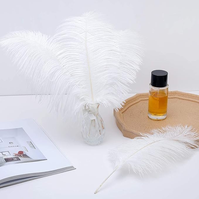 24pcs Natural White Ostrich Feathers 10-12inch (25-30cm) for Wedding Party Centerpieces，Flower Arrangement and Home Decoration.