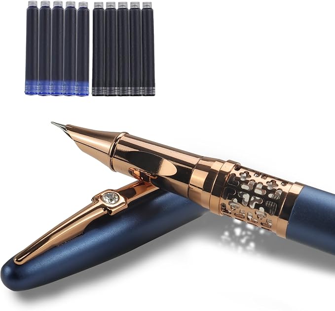 YUNCHUN Refillable Fountain Pen Fine Nib, Fancy Ink Pen with 5 Black & 5 Blue Ink Refills Cartridges, Cool Ink Pens for Writing, Business Metal, Best Gift Set for Men & Women, Blue