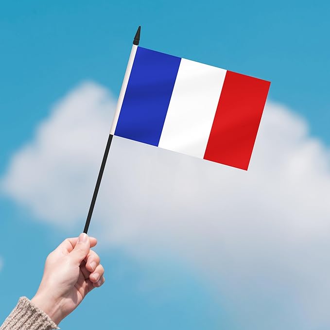 12 Pack France Desk Flags, French Desktop Flag, Small Miniature Office Flags with 12" Black Pole and Black Base, Offices, Classroom, Home, Festival Decoration (France)