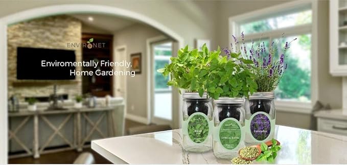 Hydroponic Herb Growing Kit, Self-Watering Mason Jar Herb Garden Starter Kit Indoor, Window Herbs Garden, Grow Your Own Herbs from Organic Seeds (Thyme)