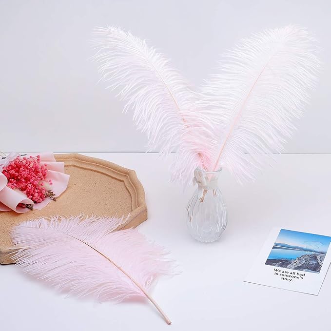 24pcs Natural Light Pink Ostrich Feathers 10-12inch (25-30cm) for Wedding Party Centerpieces，Flower Arrangement and Home Decoration.
