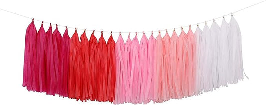 Fonder Mols Tassel Garland DIY Kit (25pcs, Pink Ombre) - Balloon Tail Banner - Bachelorette Party & Baby Shower Decorations