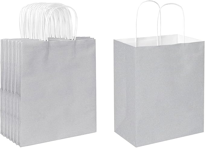 Oikss 50 Pack 8x4.75x10 Inch Medium Gray Kraft Paper Bags with Handles Bulk for Birthday Wedding Party Favors Grocery Retail Shopping Business Goody Craft Gift Bags Sacks, (Silver Grey 50pcs Count)
