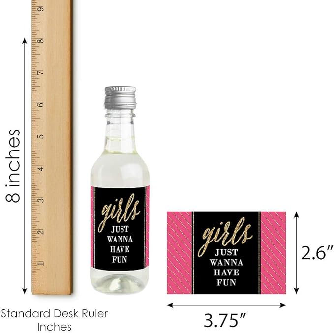 Big Dot of Happiness Girls Night Out - Mini Wine and Champagne Bottle Label Stickers - Bachelorette Party Favor Gift for Women and Men - Set of 16