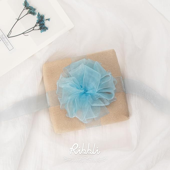 Ribbli Light Blue Organza Ribbon,1 Inches x Continuous 50 Yard,Light Blue Sheer Ribbon for Gift Wrapping,Cookie Wrapping,Wedding Decoration,All Crafting and Sewing