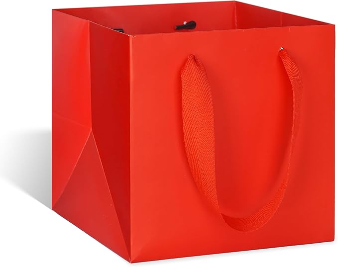 ADIDO EVA Red Square Gift Bags Small Size Square Bottom Paper Bags with Handles for Party Favor, Shopping Bag (8x8x8 In, 10 CT)