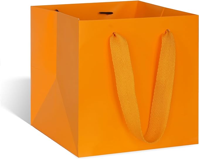 ADIDO EVA Orange Square Gift Bags Medium Size Square Bottom Paper Bags with Handles for Party Favor, Shopping Bag (10x10x10 In, 10 CT)