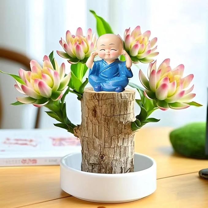 Brazilian Lucky Wood Plant Kit, Lucky Wood Doesn't Need to Wait to Sprout, Suitable for Home Office Desk Decor, Natural Air Cleaner (C)
