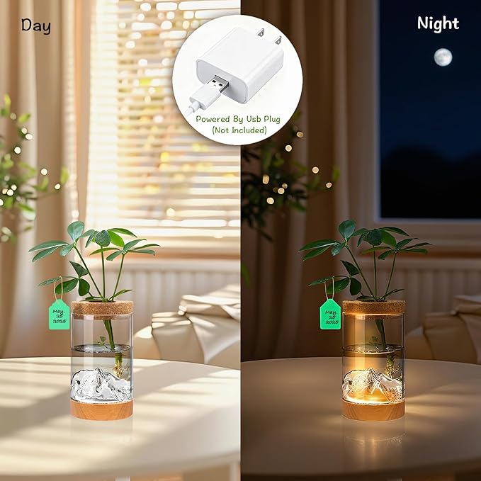 2Pcs Plant Propagation Station with Mountain-Shaped Bottom - Hydroponic Glass Vases, Wooden Base with Lighting, Terrarium Jars for Indoor Growing, Desktop Vivarium, Ideal Gifts for Plant Lovers