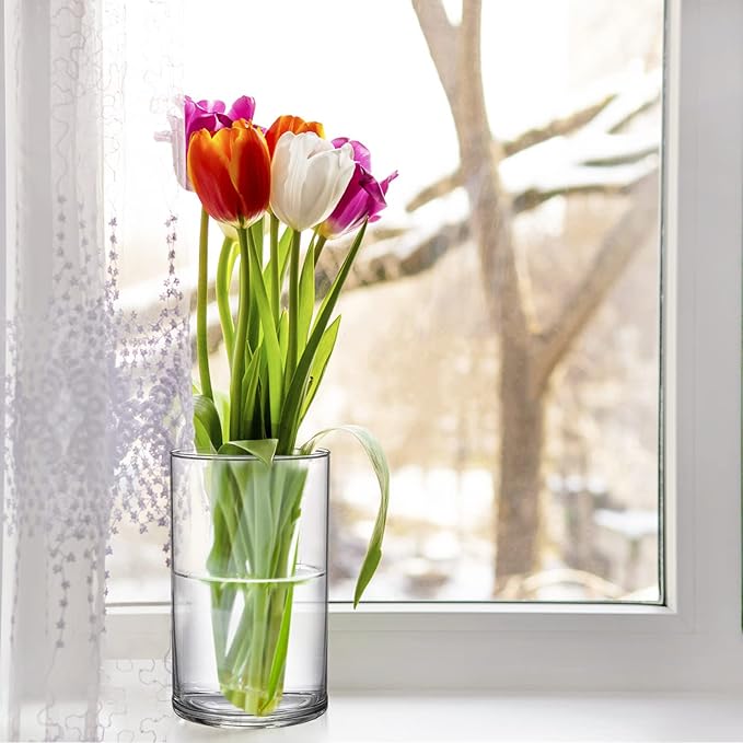 Frcctre 8 Pack 6 Inch Glass Cylinder Vases, Clear Glass Vases Floating Hurricane Candle Holders Flower Vase for Wedding Centerpieces and Home Decoration