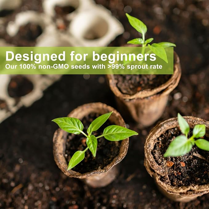 Bonsai Tree Kit with 4 Types of Seeds, Organic Coco Coir Bricks, Bonsai Pot, Plant Markers, Bonsai Tools, Bonsai Starter Kit with Japanese Style Wooden Gift Box, DIY Growing Kit, Cool Gifts for Men