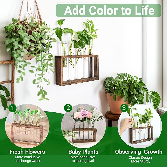 Ivolador Plant Propagation Station Terrariumin Wall Test Tube Vases Bud Tabletop Glass Wooden Stand with 5 Propagation Tubes for Propagating Hydroponic Plants Home Garden Wedding Decoration-Brown