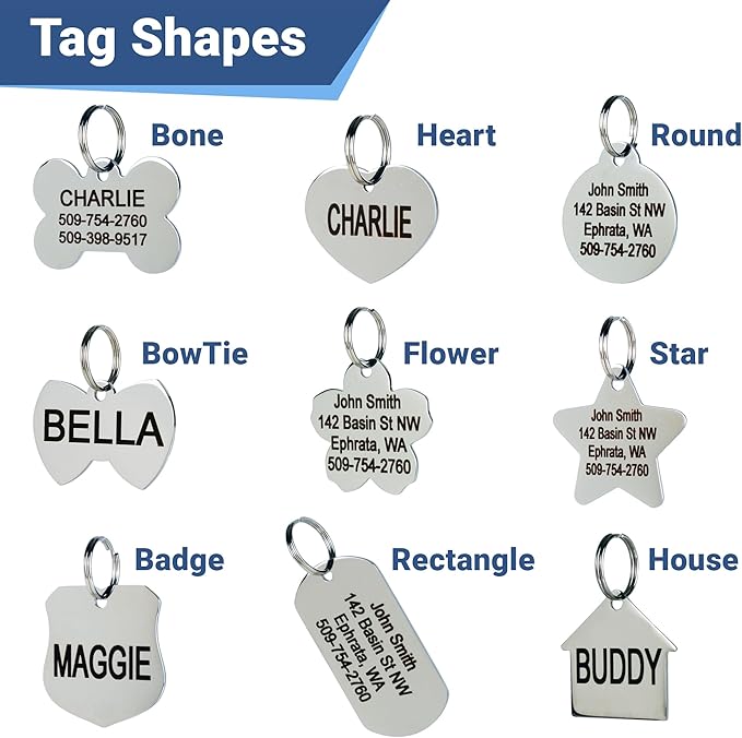 GoTags Stainless Steel Pet ID Tags, Personalized Dog Tags and Cat Tags, up to 8 Lines of Custom Text, Engraved on Both Sides, in Bone, Round, Heart, Bowtie and More (Dog Bone, Small (Pack of 1))