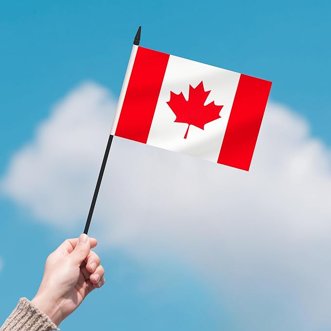 2 Pack Canada Desk Flag Set, Canadian Desktop Small Miniature Table Office Flag with 12" Black Pole and Black Base, Offices, Classroom, Home, Festival Decoration (Canada)