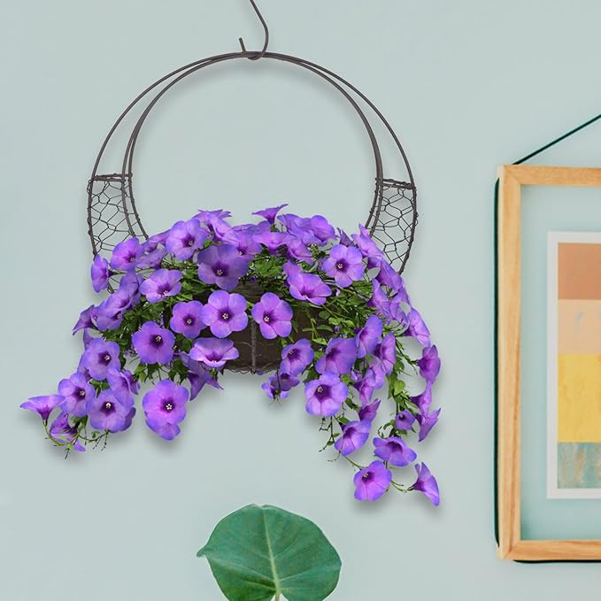 Air Plants Holders Wire Wreath Frame Hanger, 11 inch Moon Shape Wreath Form Hanging Plant Holder Metal Hanging Orchid Planter Plant Basket Holder, Succulent Wire Wreath Frame with Hook