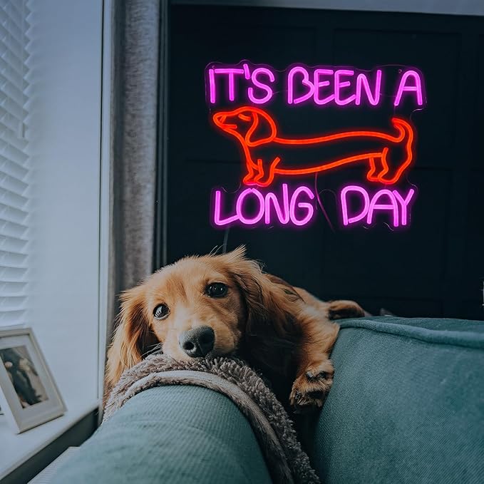 Dimmable Dog Neon Sign Pink It’s Been A Long Day Neon Light for Wall Decor Red Cute Dachshund LED Light Up Sign with USB for Bedroom Pet Shop Dog Theme Party Decor Gift for Dog Lovers (16.5*12.6In）