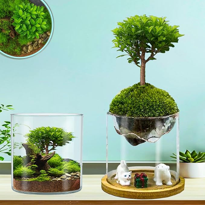 Versatile Plant Propagation Station Vase Hydroponic Planter Pot,Glass Plant Terrarium Kit,Fresh Indoor Herb Garden Kit| Christmas Birthday Gift for Gardener Women Mom Garden Lover | Home Office Decor