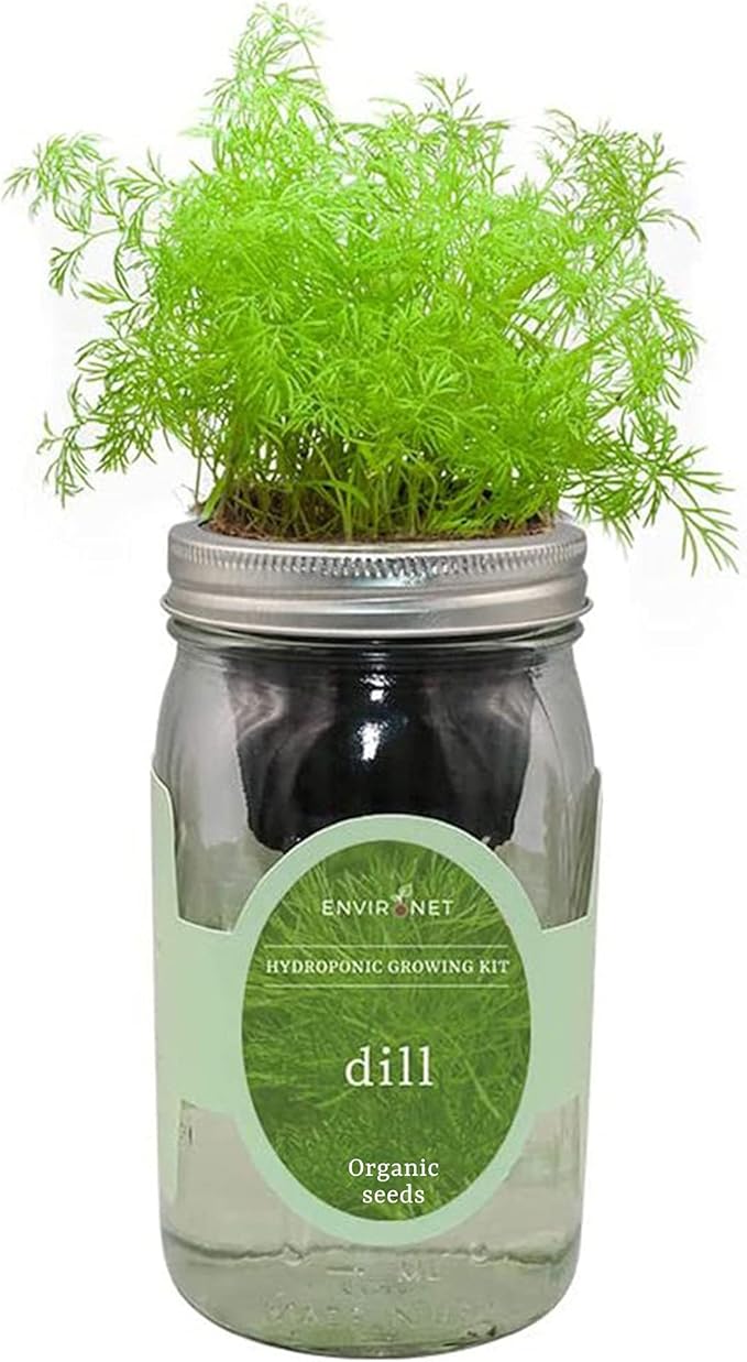 Hydroponic Herb Growing Kit, Self-Watering Mason Jar Herb Garden Starter Kit Indoor, Windowsill Herb Garden, Grow Your Own Herbs from Organic Seeds (Dill)