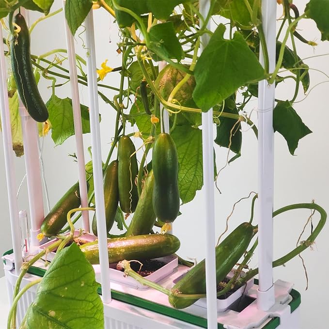 Large Hydroponics Growing System kit with Trellis,Smart Indoor Hydroponic Gardening System with LED Grow Light, Indoor Hydroponic Grow Kit for Tomato,Pepper,Cucumbers(7L,Pump)