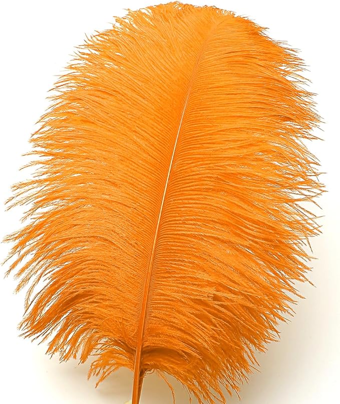 Ballinger Orange Large Ostrich Feathers - 24Pcs 8-10inch Big Feathers for Crafts,Wedding Party Centerpieces and Halloween Home Decor
