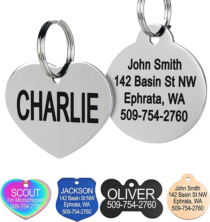 GoTags Stainless Steel Pet ID Tags, Personalized Dog Tags and Cat Tags, up to 8 Lines of Custom Text, Engraved on Both Sides, in Bone, Round, Heart, Bowtie and More (Heart, Small (Pack of 1))