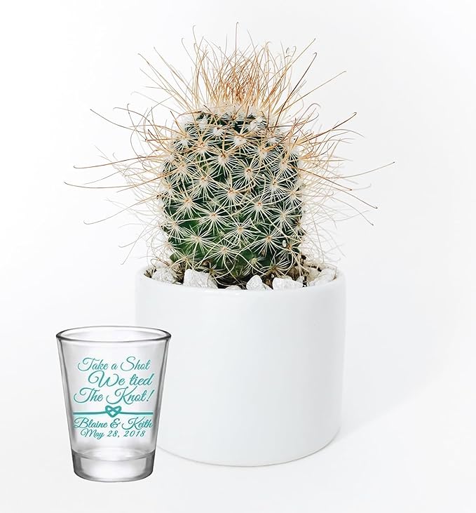 Personalized 1.75oz Glass Shot Glass “Take A Shot We Tied the Knot” Design Wedding Favors, After Party and Anniversary Dinner Party