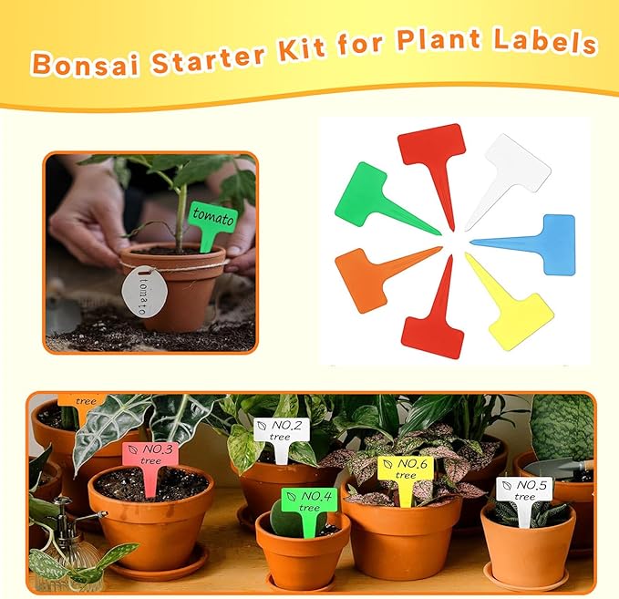 Bonsai Tools Set for Beginners, Bonsai Tree Kit with Training Wire, Scissors, Pruning Shears, Repotting Kit, Indoor Plant Tools Starter Kit (Orange)