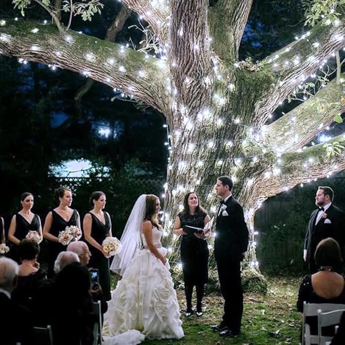 Vicloon Fairy Curtain Lights,300 LED White Curtain Lights,8 Modes 9.8×9.8Ft Waterproof Window Curtain String Light USB Powered with Remote Control,Christmas String Lights Curtain for Indoor/Outdoor