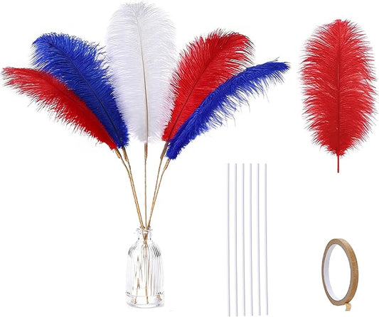 Holmgren Red White and Blue Ostrich Feathers - 20pcs Making Kit 22 Inch 4th of July Decor Ostrich Feathers Bulk for Vase, Floral Arrangement, Wedding Party Centerpieces and Home Decorations